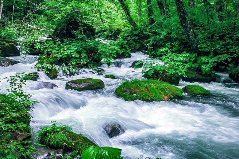 Oirase Gorge in Aomori Prefecture, a scenic place to walk and relax