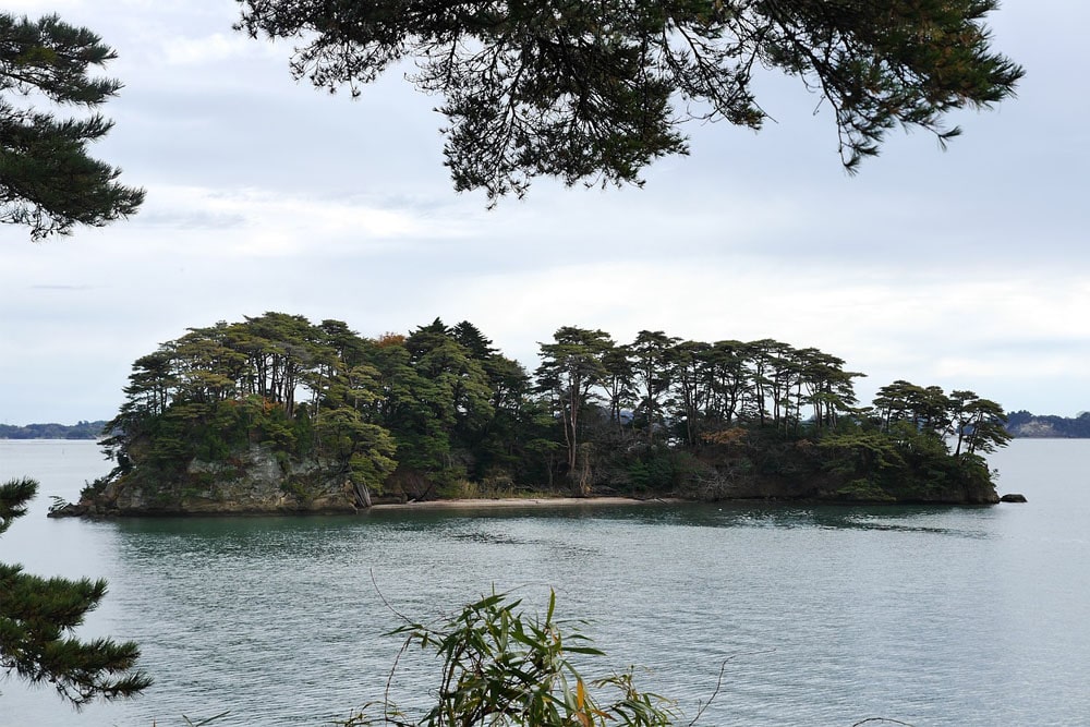 One of the islands of Matsushima bay