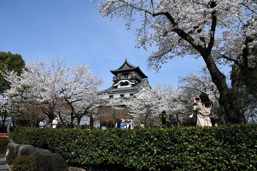 Inuyama Castle in Spring