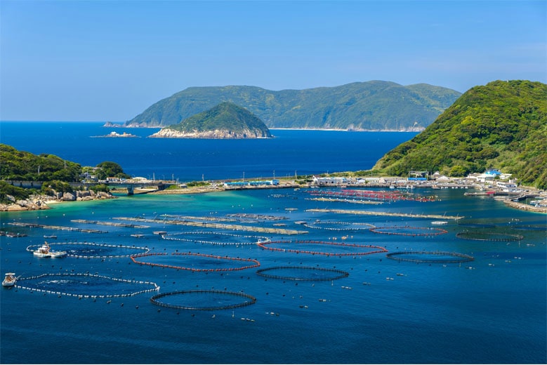 Kashiwajima Odo Observatory, Kochi Prefecture