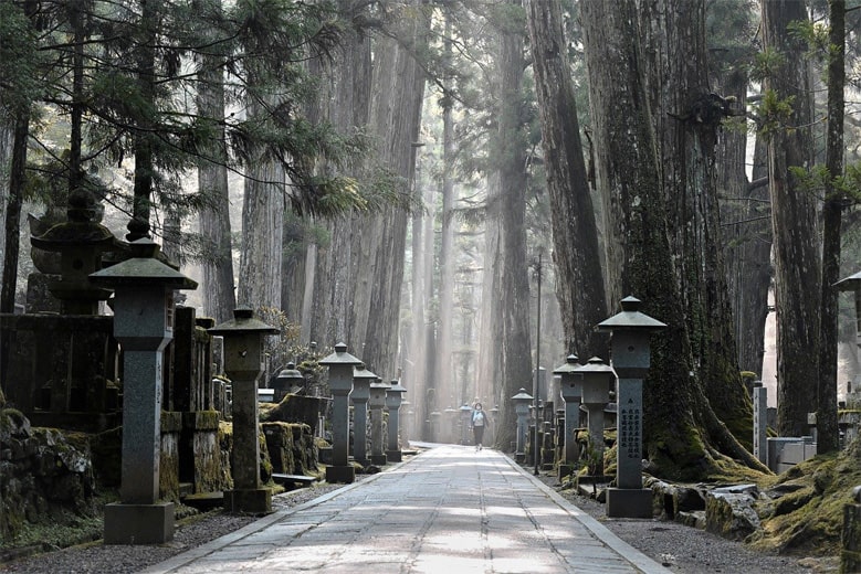 Quiet, grave and lantern lined path of Okunoin Cemetery