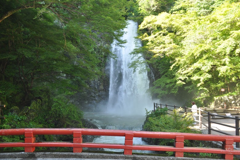 Minoh Falls after significant rain in Osaka.