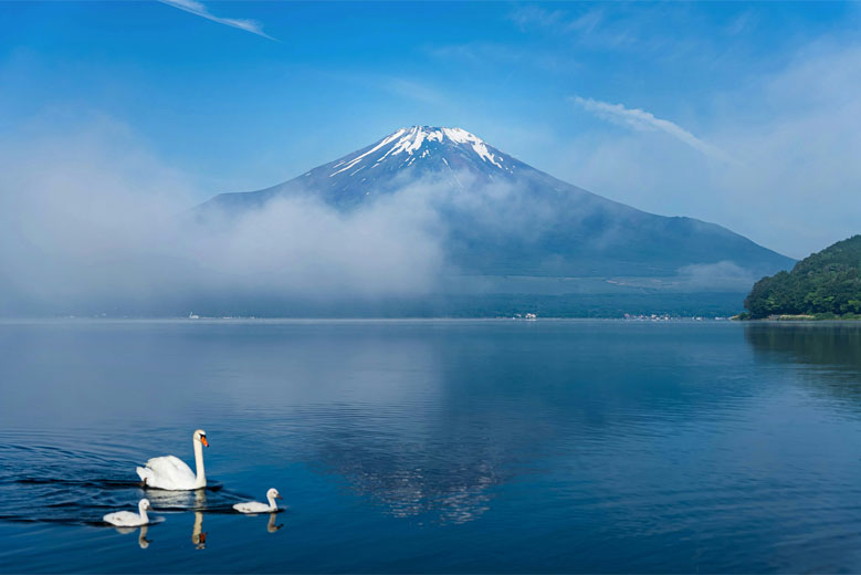 The Fuji Five Lakes region of Japan is popular among locals and tourists alike