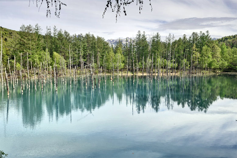 Shirogane Blue Pond, Hokkaido Prefecture